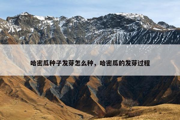 哈密瓜种子发芽怎么种，哈密瓜的发芽过程