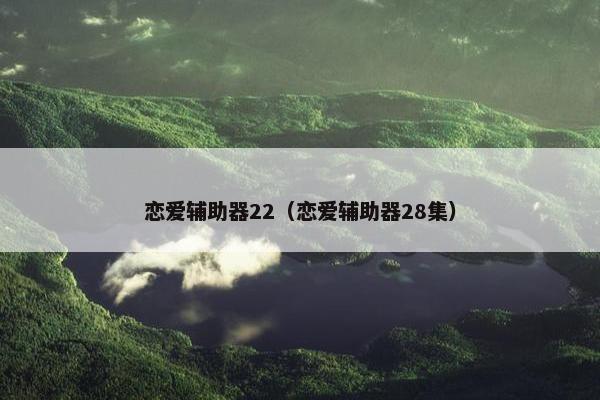 恋爱辅助器22（恋爱辅助器28集）