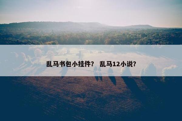 乱马书包小挂件？ 乱马12小说？