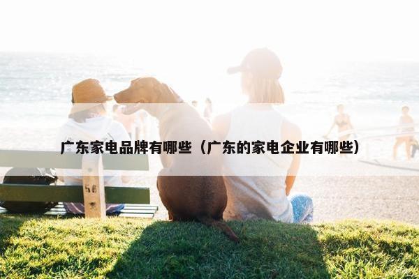 广东家电品牌有哪些（广东的家电企业有哪些）