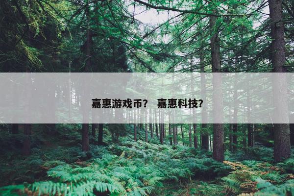 嘉惠游戏币？ 嘉惠科技？