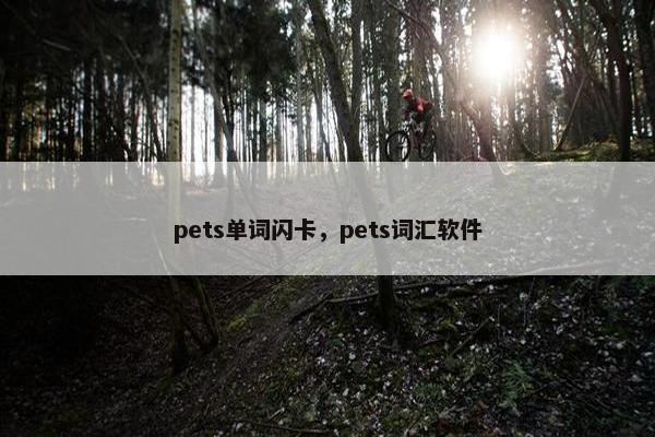 pets单词闪卡，pets词汇软件