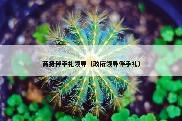 商务伴手礼领导（政府领导伴手礼）