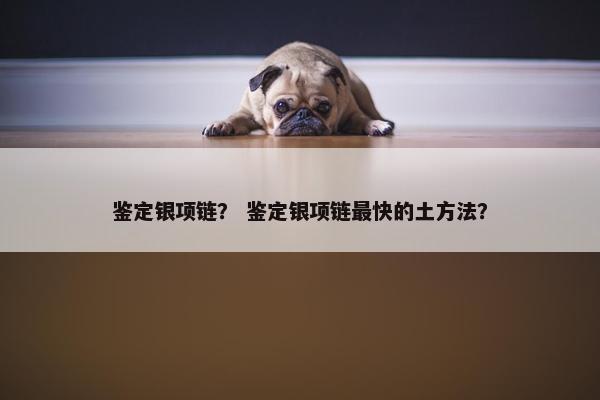 鉴定银项链？ 鉴定银项链最快的土方法？