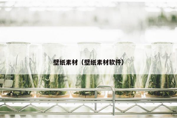 壁纸素材（壁纸素材软件）