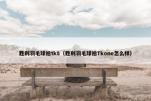 胜利羽毛球拍tk8（胜利羽毛球拍Tkone怎么样）