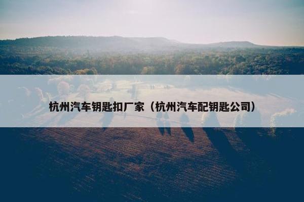 杭州汽车钥匙扣厂家（杭州汽车配钥匙公司）