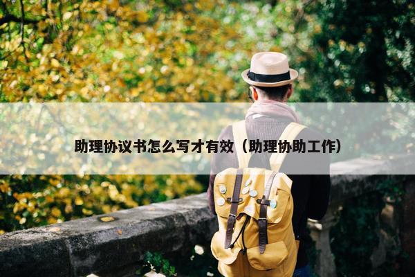 助理协议书怎么写才有效（助理协助工作）