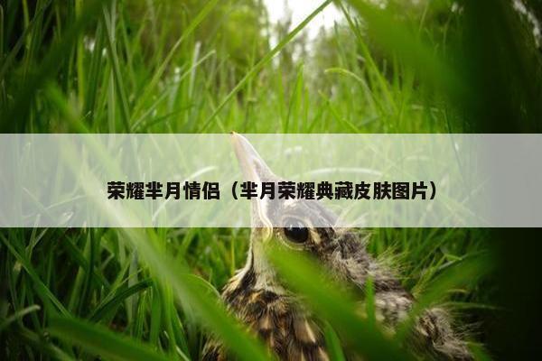 荣耀芈月情侣（芈月荣耀典藏皮肤图片）