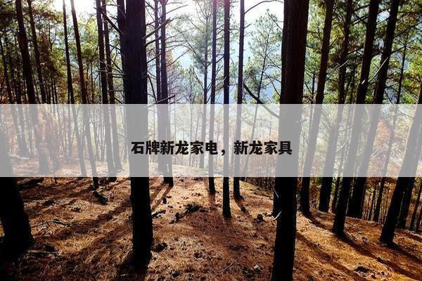 石牌新龙家电，新龙家具