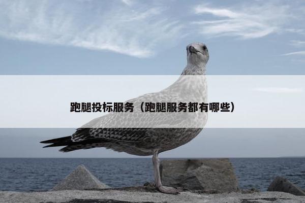 跑腿投标服务（跑腿服务都有哪些）