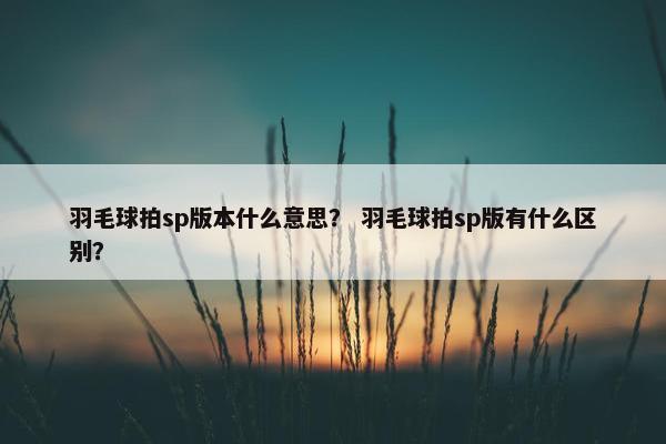 羽毛球拍sp版本什么意思？ 羽毛球拍sp版有什么区别？