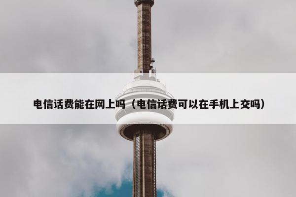 电信话费能在网上吗（电信话费可以在手机上交吗）