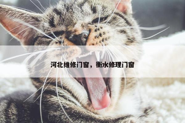 河北维修门窗，衡水修理门窗
