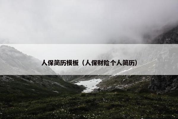 人保简历模板（人保财险个人简历）