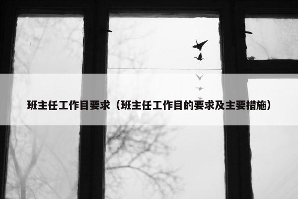 班主任工作目要求（班主任工作目的要求及主要措施）