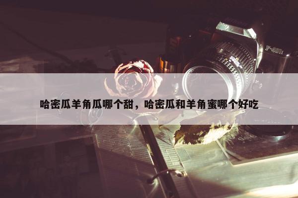 哈密瓜羊角瓜哪个甜，哈密瓜和羊角蜜哪个好吃