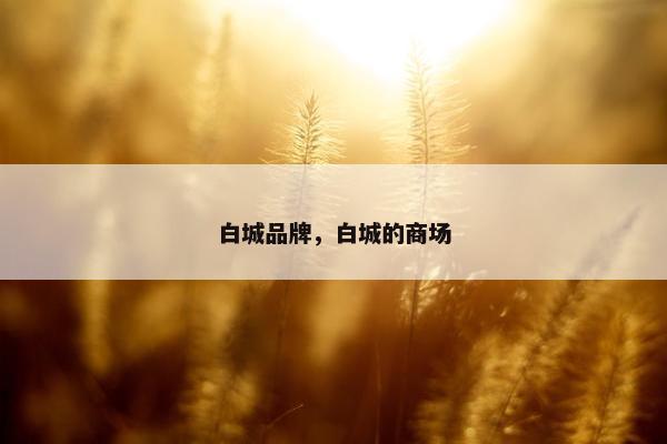 白城品牌，白城的商场