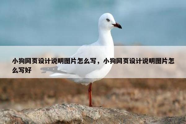 小狗网页设计说明图片怎么写，小狗网页设计说明图片怎么写好