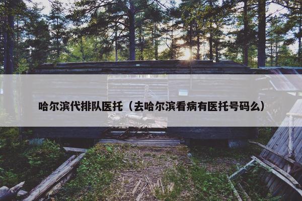 哈尔滨代排队医托（去哈尔滨看病有医托号码么）
