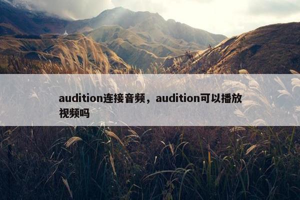 audition连接音频，audition可以播放视频吗