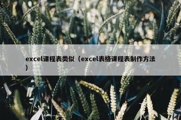 excel课程表类似（excel表格课程表制作方法）