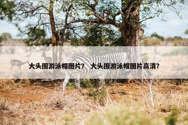 大头围游泳帽图片？ 大头围游泳帽图片高清？