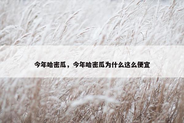 今年哈密瓜，今年哈密瓜为什么这么便宜