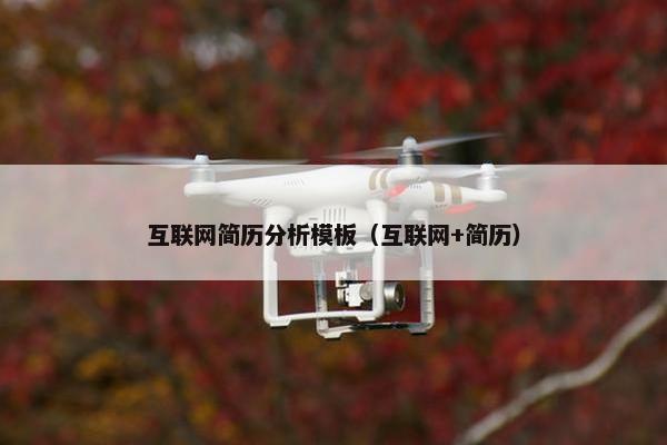 互联网简历分析模板（互联网+简历）