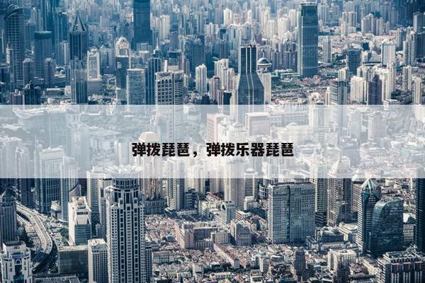 弹拨琵琶，弹拨乐器琵琶