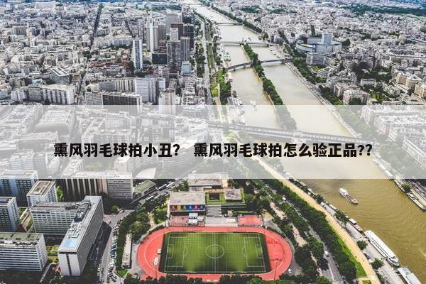 熏风羽毛球拍小丑？ 熏风羽毛球拍怎么验正品?？