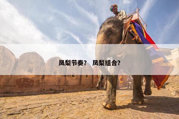 凤梨节奏？ 凤梨组合？