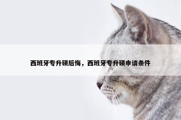 西班牙专升硕后悔，西班牙专升硕申请条件