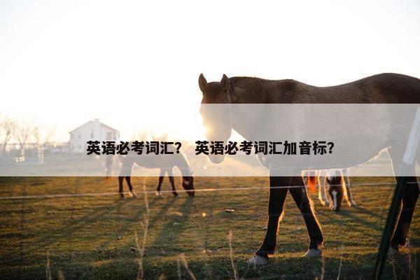 英语必考词汇？ 英语必考词汇加音标？