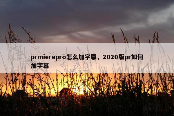 prmierepro怎么加字幕，2020版pr如何加字幕
