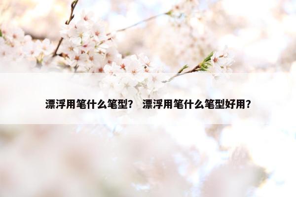 漂浮用笔什么笔型？ 漂浮用笔什么笔型好用？