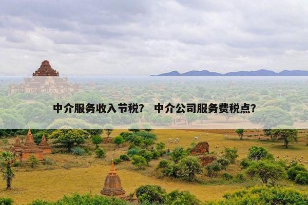 中介服务收入节税？ 中介公司服务费税点？