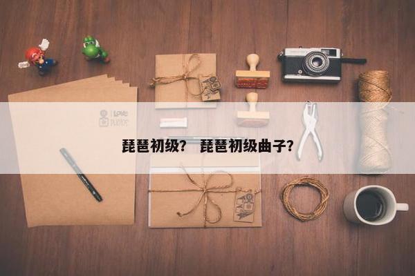 琵琶初级？ 琵琶初级曲子？