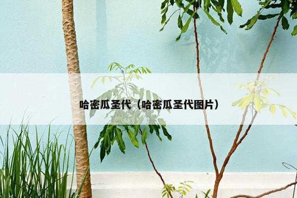 哈密瓜圣代（哈密瓜圣代图片）