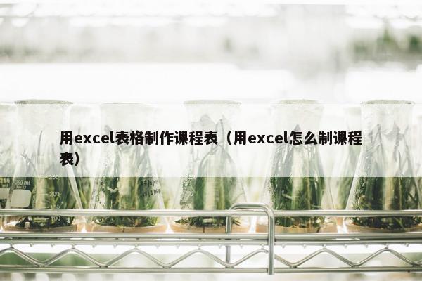 用excel表格制作课程表（用excel怎么制课程表）