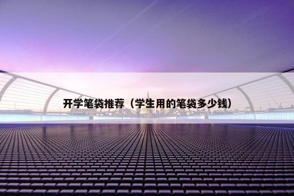 开学笔袋推荐（学生用的笔袋多少钱）