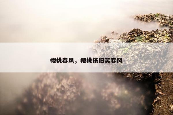 樱桃春风，樱桃依旧笑春风