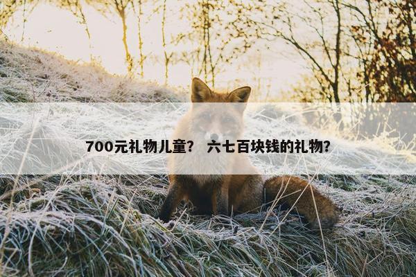 700元礼物儿童？ 六七百块钱的礼物？