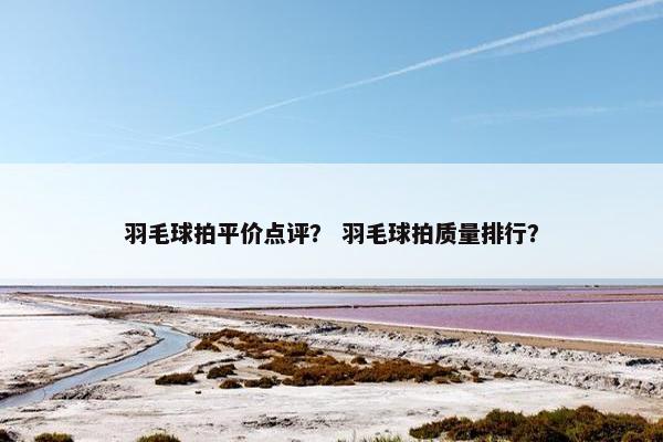 羽毛球拍平价点评？ 羽毛球拍质量排行？