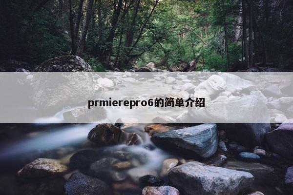 prmierepro6的简单介绍