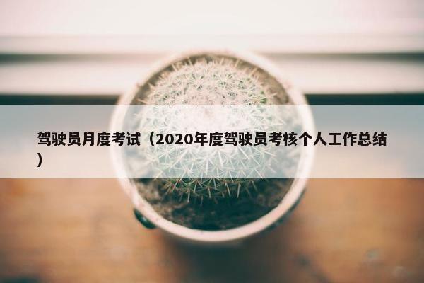 驾驶员月度考试（2020年度驾驶员考核个人工作总结）