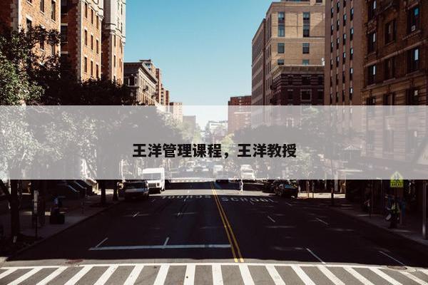 王洋管理课程，王洋教授