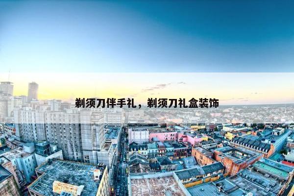 剃须刀伴手礼，剃须刀礼盒装饰
