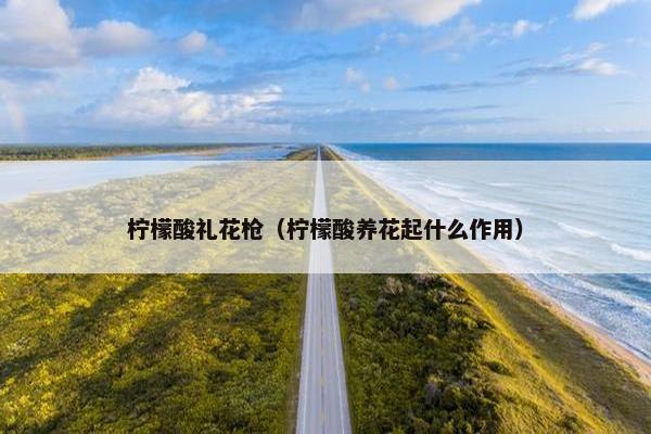 柠檬酸礼花枪（柠檬酸养花起什么作用）
