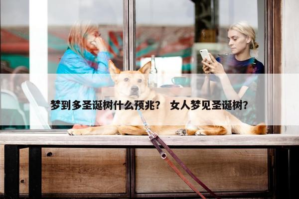 梦到多圣诞树什么预兆？ 女人梦见圣诞树？